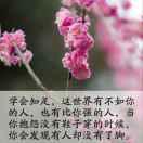 倍爽