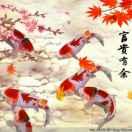 阳光大侠
