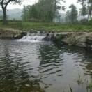 说心里话实在！