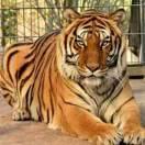 最爱两种花，有钱随便花。