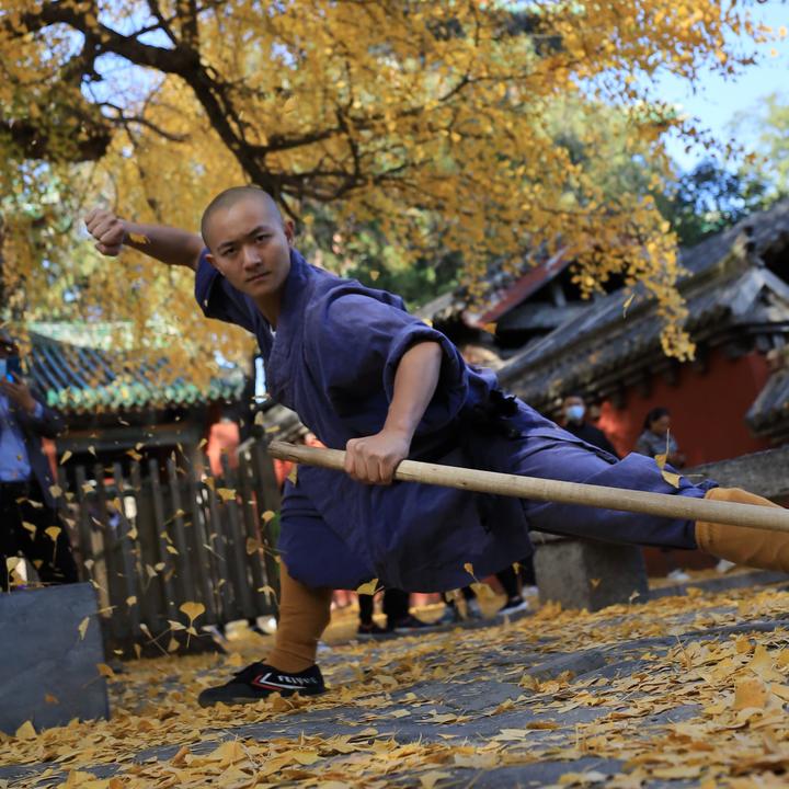 少林寺延钦      少林寺  延钦 时长 18秒 1,488 人使用
