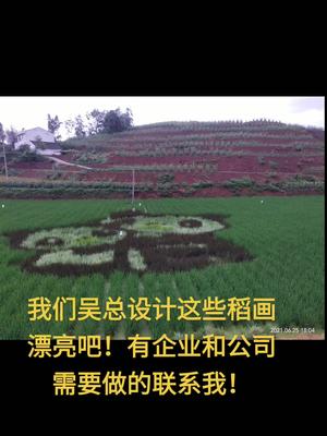 抖音 抖音