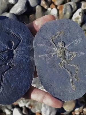 pvz2植物大战僵尸测试:发怒的大爷暴走形态对战五绝阵